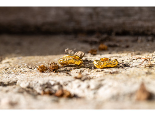 Boucles d'oreilles asymétriques Menhir