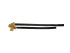 Collier ras de cou Le choker Acceptacio