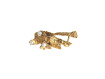BROOCH LADY DI